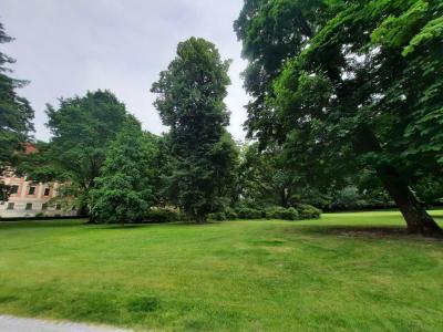 ZÁMECKÝ PARK