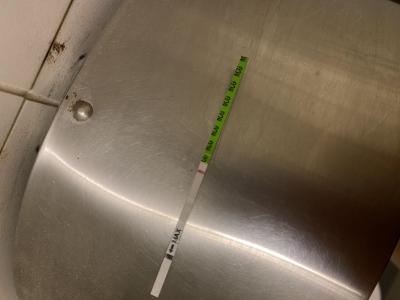 Testování a těhotenský test | Test slabá čárka nebo negativní?
