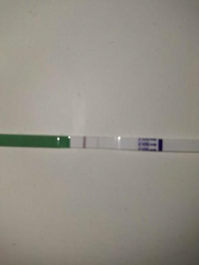 Snažení | Ovulační test v těhotenství