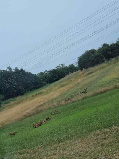 Na samotě ve srubu