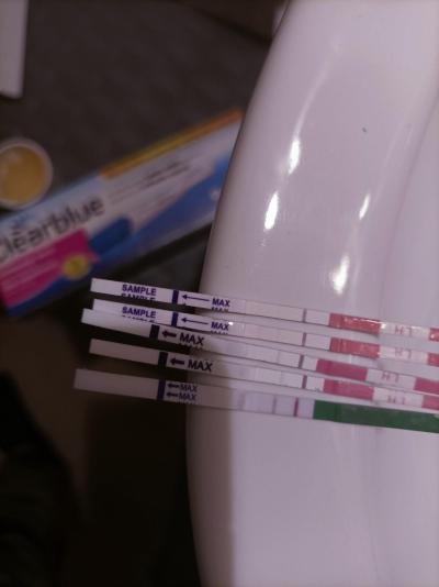 Snažení | Ovulace? nebo dál testovat