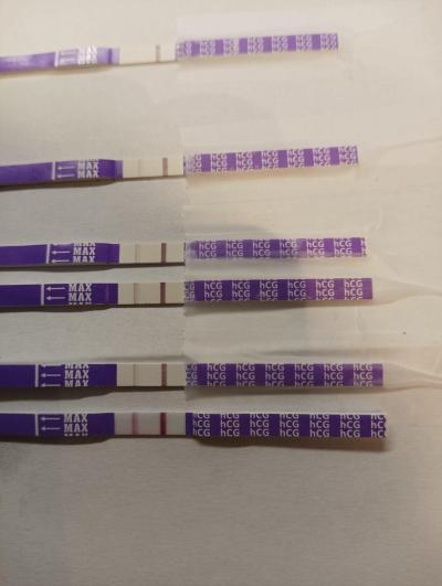 Testování a těhotenský test | KET leden 2023