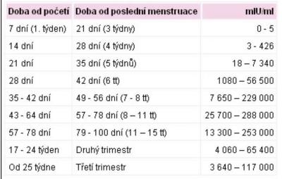 Těhotenství | Hcg v 7. týdnu, jak by mělo růst?