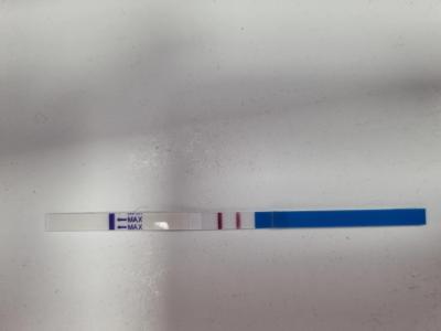 Testování a těhotenský test | Možné těhotenství PCOS