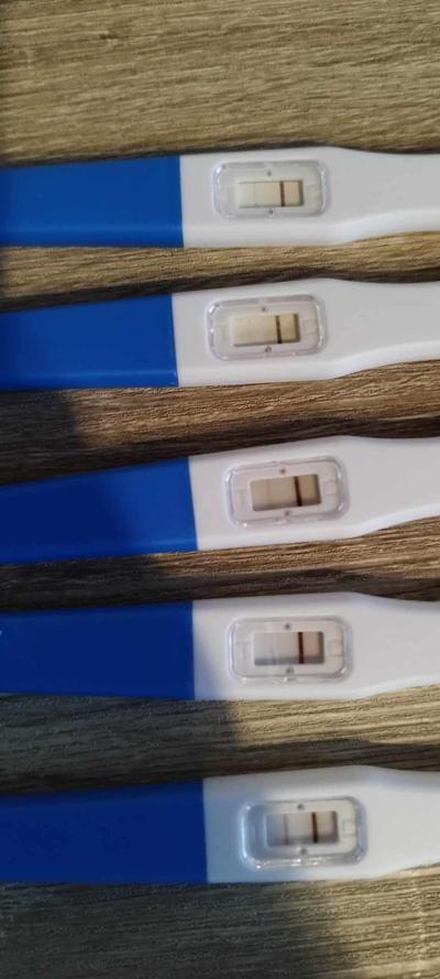Centra asistované reprodukce | IVF 2022/2023