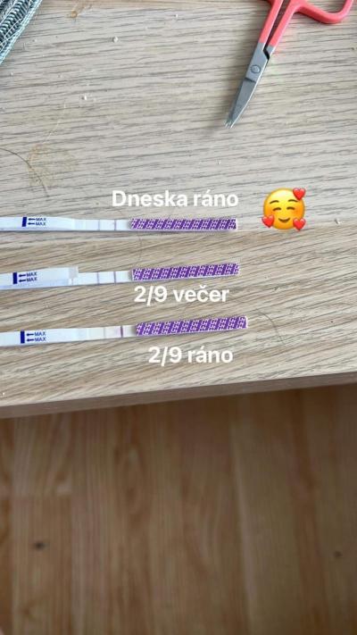 Snažení | Snažení - Září 2023