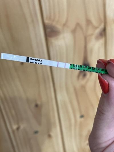 Těhotenství | Transfer embrya FHB