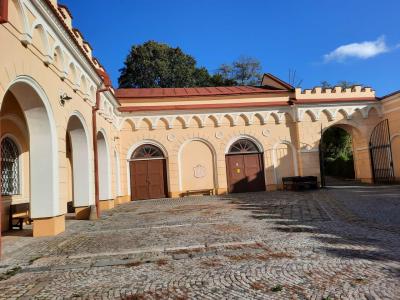 LETOVICE
