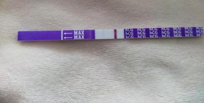 Testování a těhotenský test | KET leden 2023