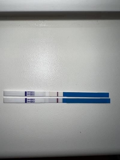 Testování a těhotenský test | Těhotenství ?? Nebo nic