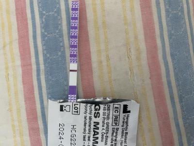 Testování a těhotenský test | Duch nebo paranoia..