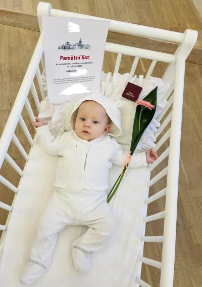 Snažení | IUI 2021