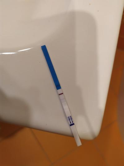 Testování a těhotenský test | Nevím jak vyhodnit těhotenský test