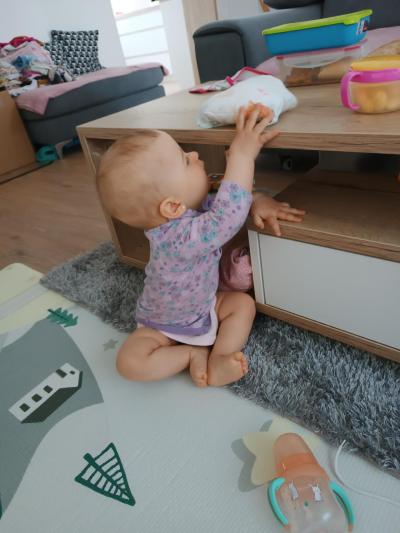 Plenku si do SKO brzy odnese sama