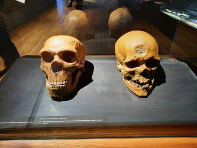 ARCHEOPARK PAVLOV