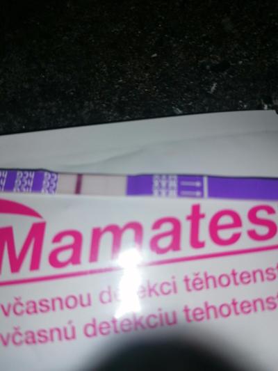 Testování a těhotenský test | Duch/ryska/nic 10dpo