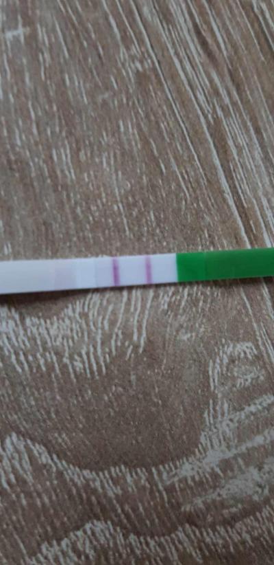 Snažení | Ovulace? nebo dál testovat