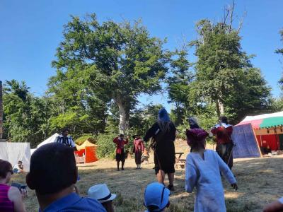 HISTORICKÝ FESTIVAL