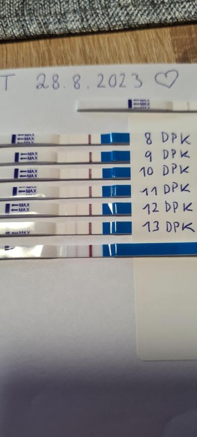 Centra asistované reprodukce | IVF 2022/2023