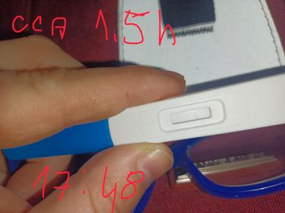 Testování a těhotenský test | Zkušenosti Pepino