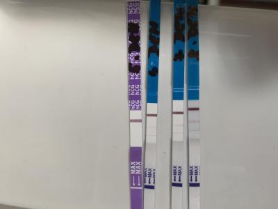 Testování a těhotenský test | KET leden 2023
