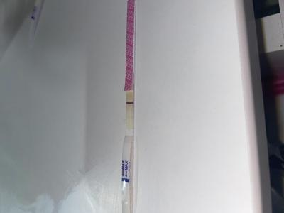 Testování a těhotenský test | Vidím dobře - 2 čárky