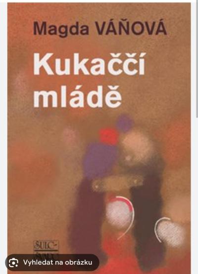 Filmy, seriály, muzika, knížky, hry | Letní čtenářské bingo 2023