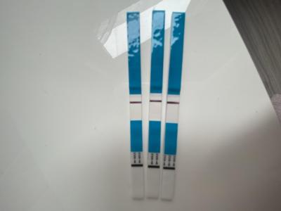 Testování a těhotenský test | Duch ???? nebo ne