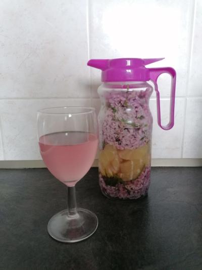 Šeříková limonáda 