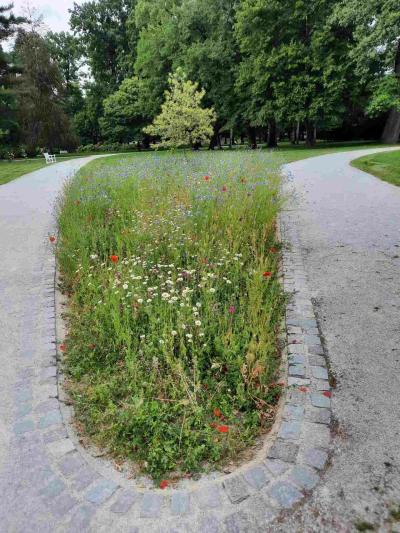 ZÁMECKÝ PARK