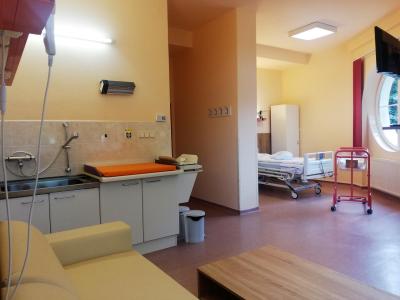 Porodnice Trutnov, Oblastní nemocnice Trutnov a. s., Gynekologicko - porodnické oddělení