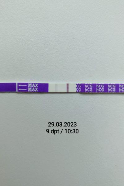 Snažení | KET Březen 2023
