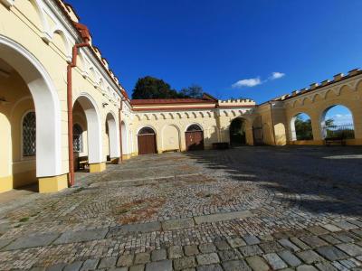 LETOVICE