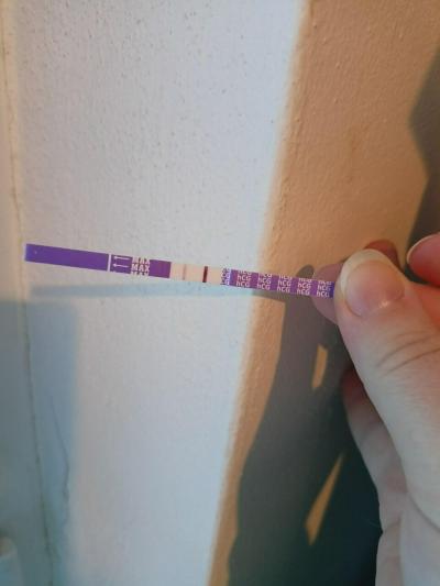 Testování a těhotenský test | Není čárka na 18dpo slabá?