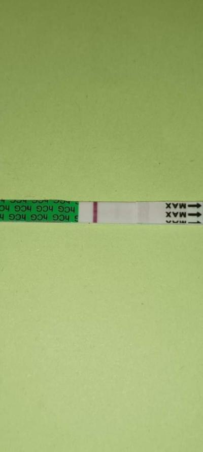 Testování a těhotenský test | 10 dpo, duch?