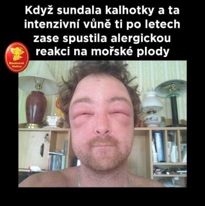 Technologie, mobily, internet | Nudící se osamělý vozíčkář nabízí své služby