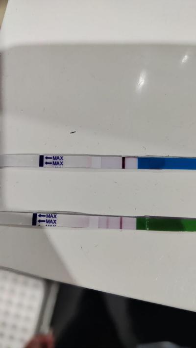 Testování a těhotenský test | Ovulační testy vyhodnocení.