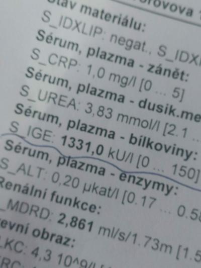 Zdravotní potíže dospělých | Alergie zjištěna na kožní