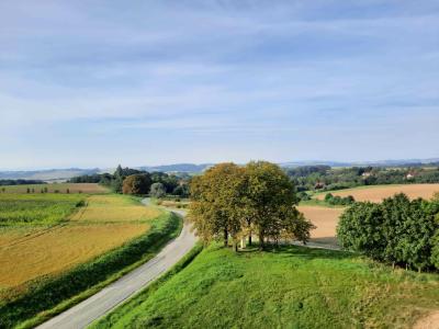 BLAHUSTOVICE