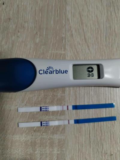 Těhotenství | Srdíčko embrya