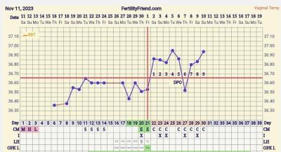 Snažení | 8DPO - nidace?