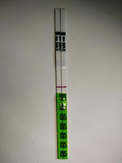 Testování a těhotenský test | Těhotenský test slabý duch