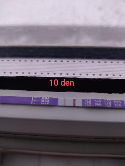 Testování a těhotenský test | KET leden 2023