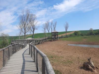 MODRÁ