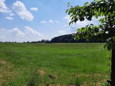 POLNIČKA