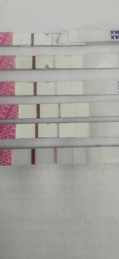 Testování a těhotenský test | Pomalejší růst hcg
