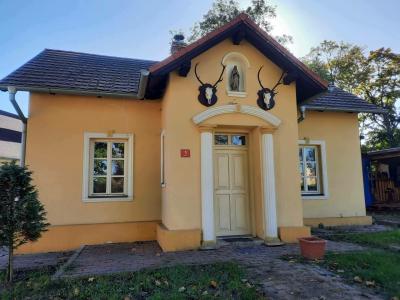 LETOVICE