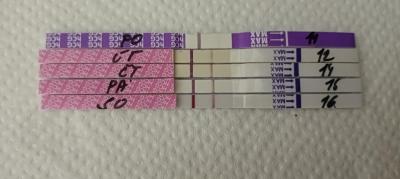 Testování a těhotenský test | Těhotenský test a biochemko