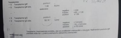 Těhotenství | Toxoplasmosa vysledky