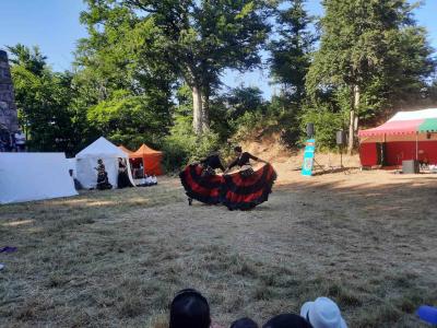HISTORICKÝ FESTIVAL